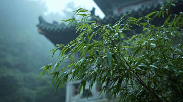 Korean fortune telling concept - Heavenly Stems and Earthly Branches: The Building Blocks of Korean Saju